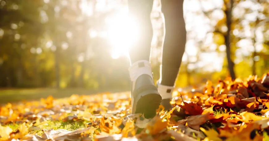 Autumn Health Tips from GPs