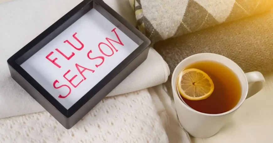 Flu Season 2026