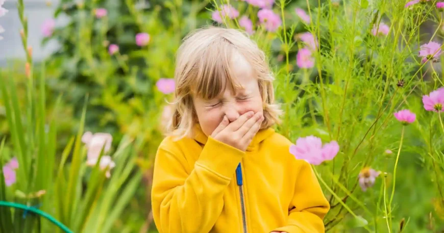 How to Manage Seasonal Allergies